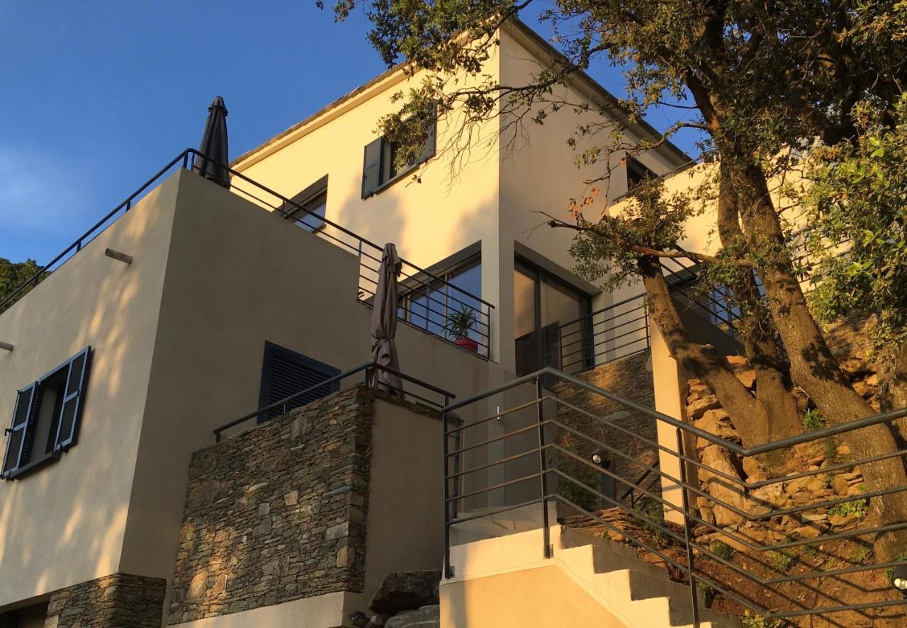 A Casa Di Campa Villa Oletta  Dış mekan fotoğraf