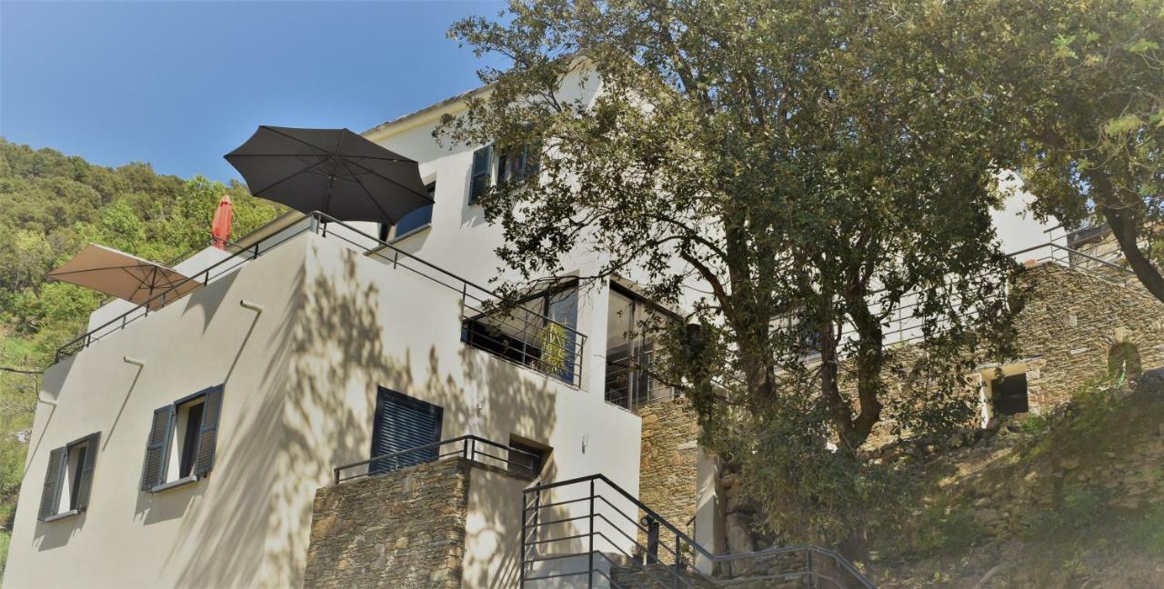 A Casa Di Campa Villa Oletta  Dış mekan fotoğraf